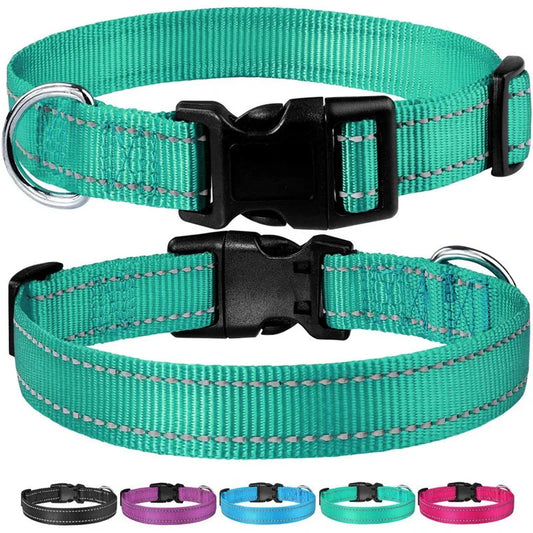 Reflektierendes, verstellbares Hundehalsband