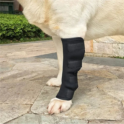 1 Paar Hunde-Kniebandagen