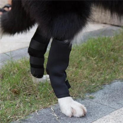 1 Paar Hunde-Kniebandagen