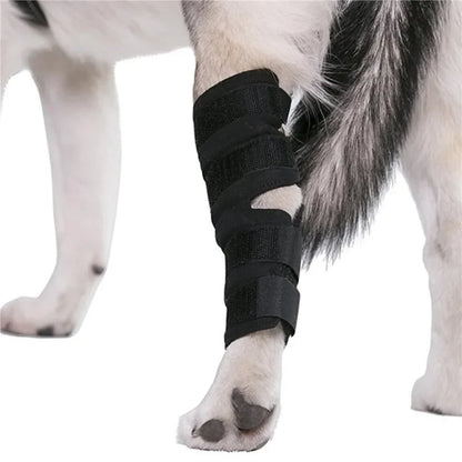 1 Paar Hunde-Kniebandagen
