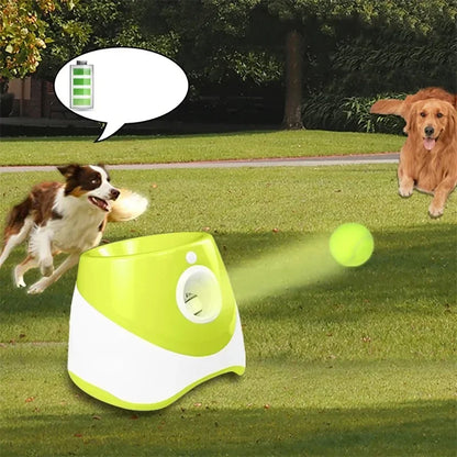 Hunde-Tennisball-Werfer