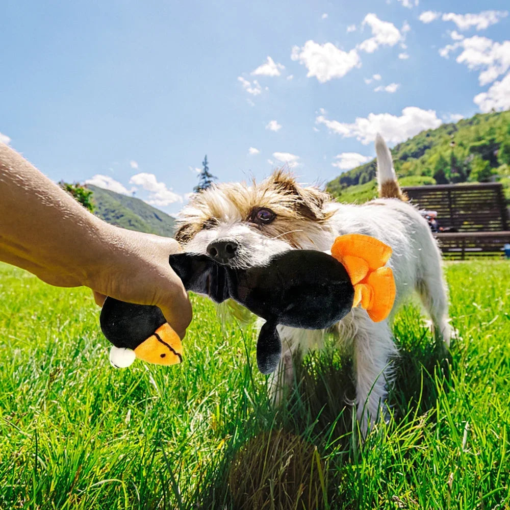 Quietschendes Huhn Hundespielzeug