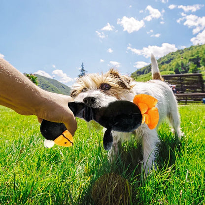 Quietschendes Huhn Hundespielzeug