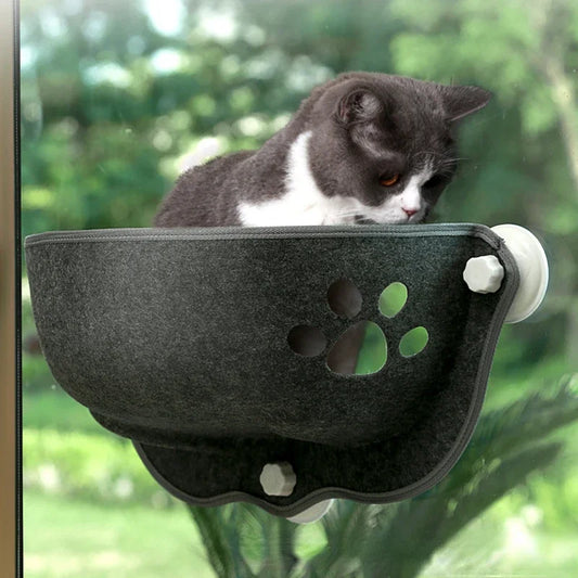 Fensterliege für Katzen