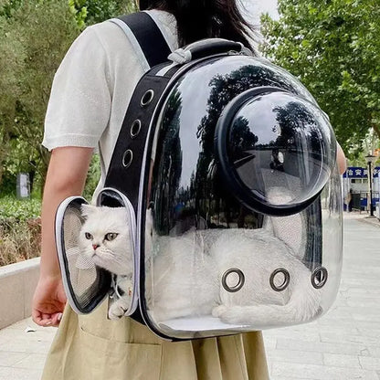 Rucksack für Haustiere