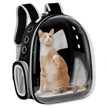 Rucksack für Haustiere
