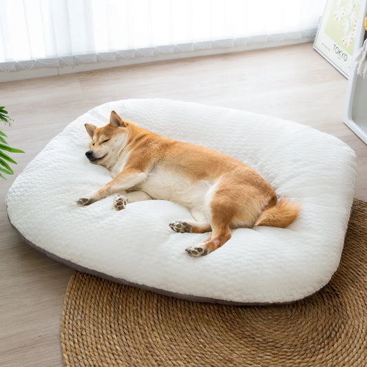 Luxuriöses Hundesofa