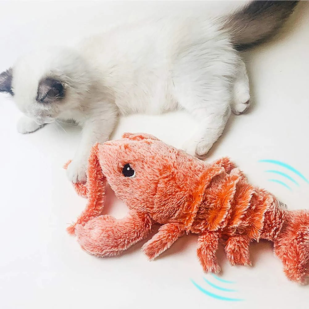 Wackelhummer – Interaktives Plüschtier für Hunde & Katzen
