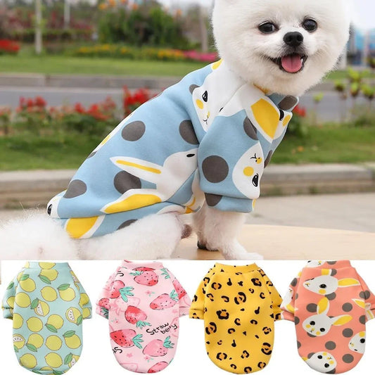 Kuscheliger Winter-Pullover für kleine Hunde & Katzen