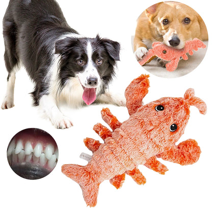 Wackelhummer – Interaktives Plüschtier für Hunde & Katzen