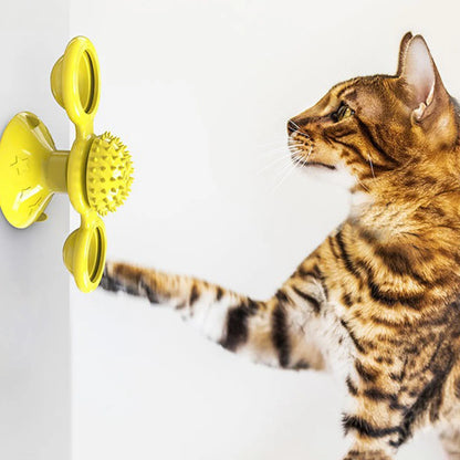 Multifunktionales Katzenspielzeug