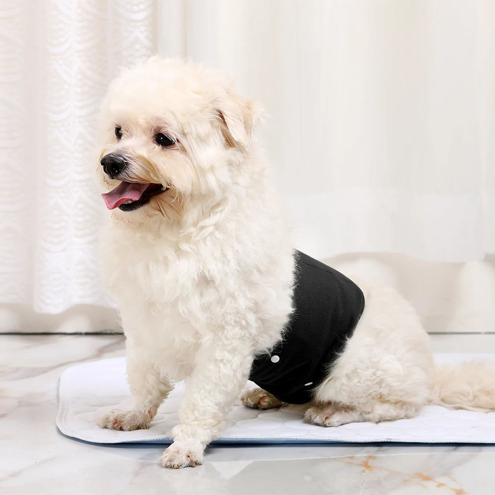 Reusable Male Dog Wrap
