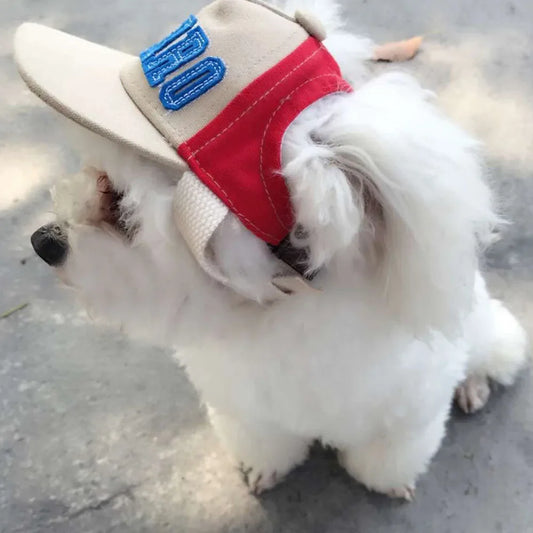 Sommer-Basecap für Hunde