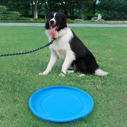 Bissfester Hundefrisbee