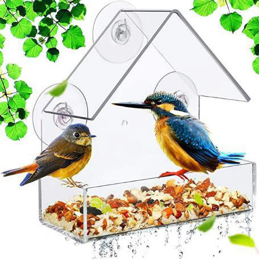 Fenster-Vogelfutterhaus mit starken Saugnäpfen