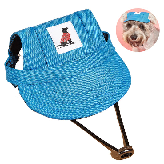 Sommer-Sonnenhut für Hunde