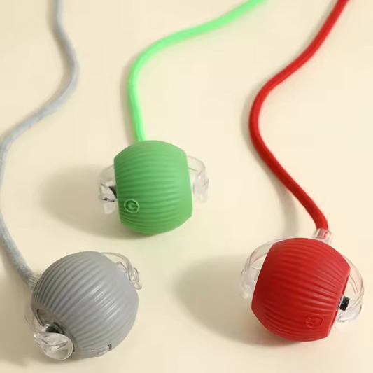 Intelligenter Ball