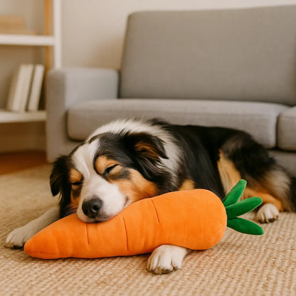 KarotteQuietscher – Hundespielzeug Karottenform mit Quietscher